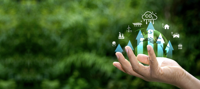 Understanding ‘Bankability’: Why Banks Are Highly Selective with Infrastructure Projects
